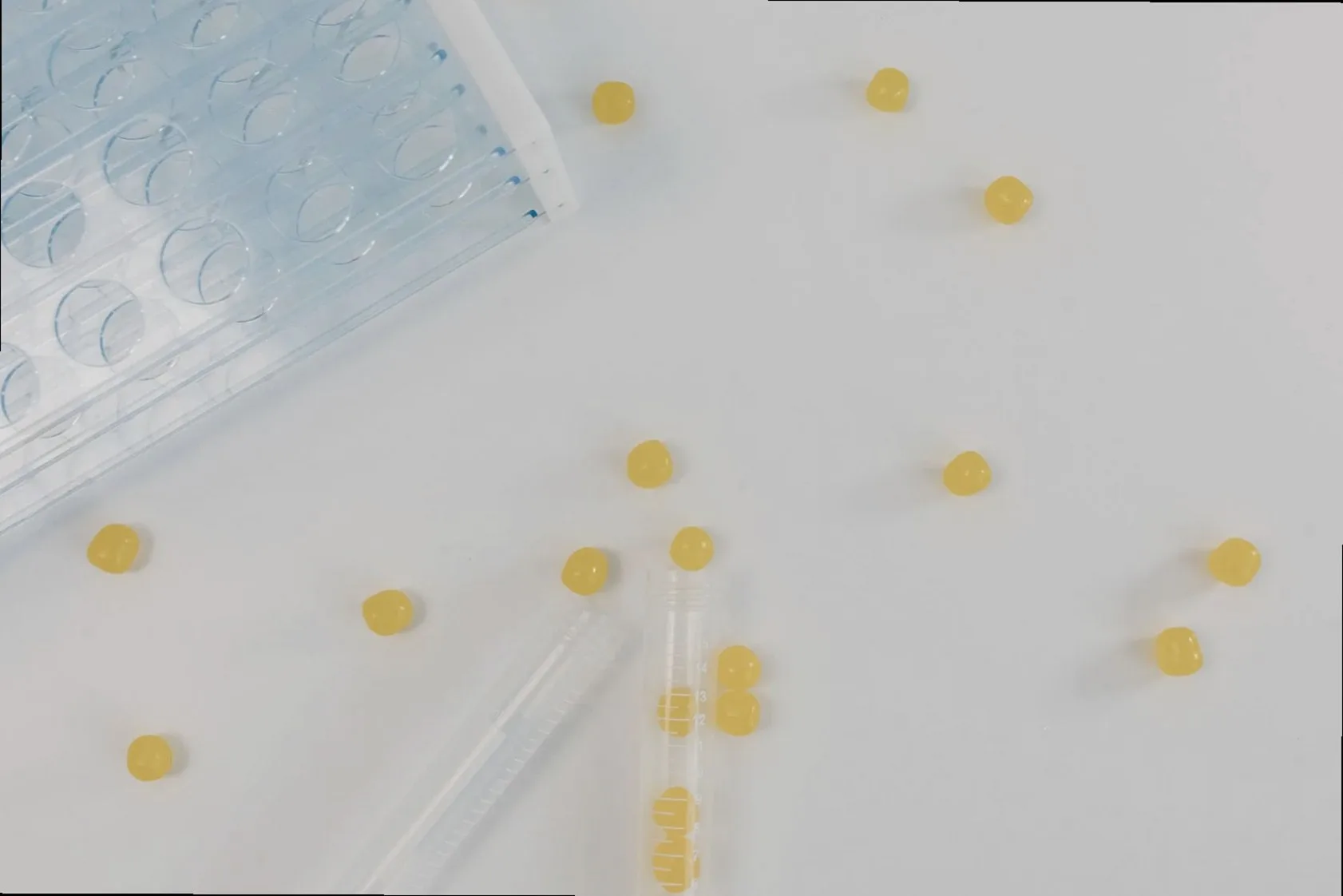 Flatlay of laboratory tools and yellow capsules on a white background.